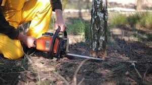  Lake Summerset, IL Tree Services Pros